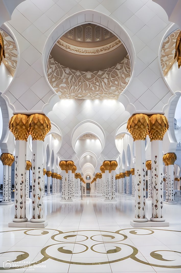 organization structure